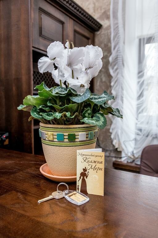 Санаторий Княжна Мери Железноводск-13