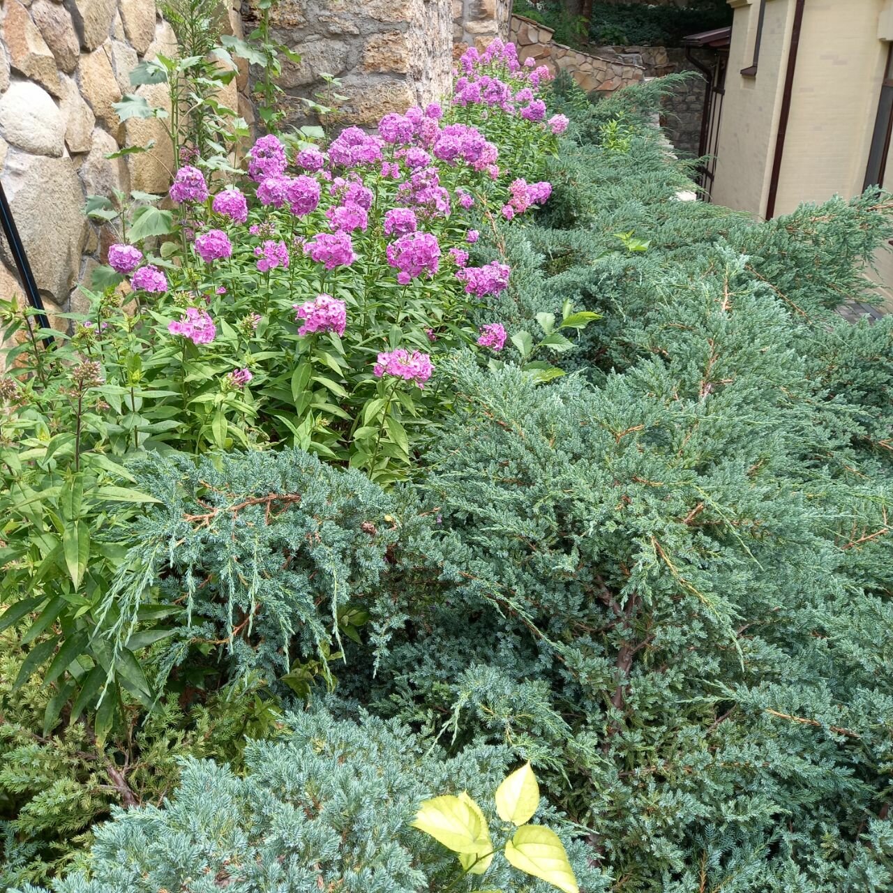 Санаторий Княжна Мери Железноводск-158