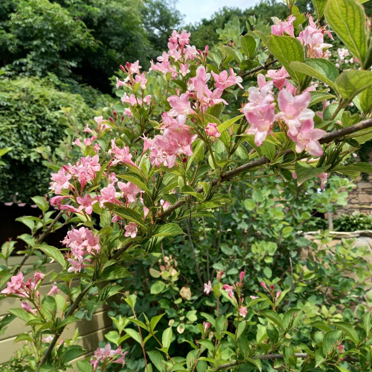 Санаторий Княжна Мери Железноводск-151