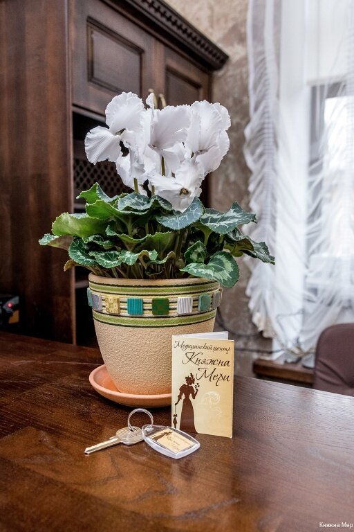 Санаторий Княжна Мери Железноводск-200