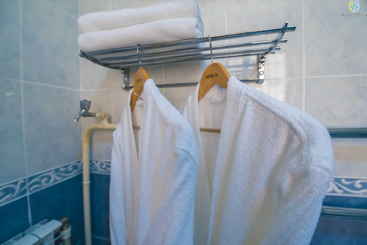 Санаторий Княжна Мери Железноводск