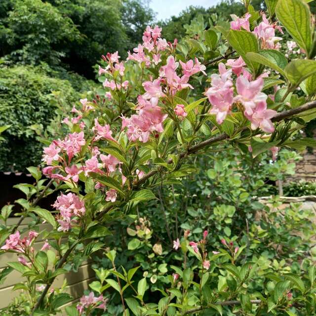 Санаторий Княжна Мери Железноводск-150